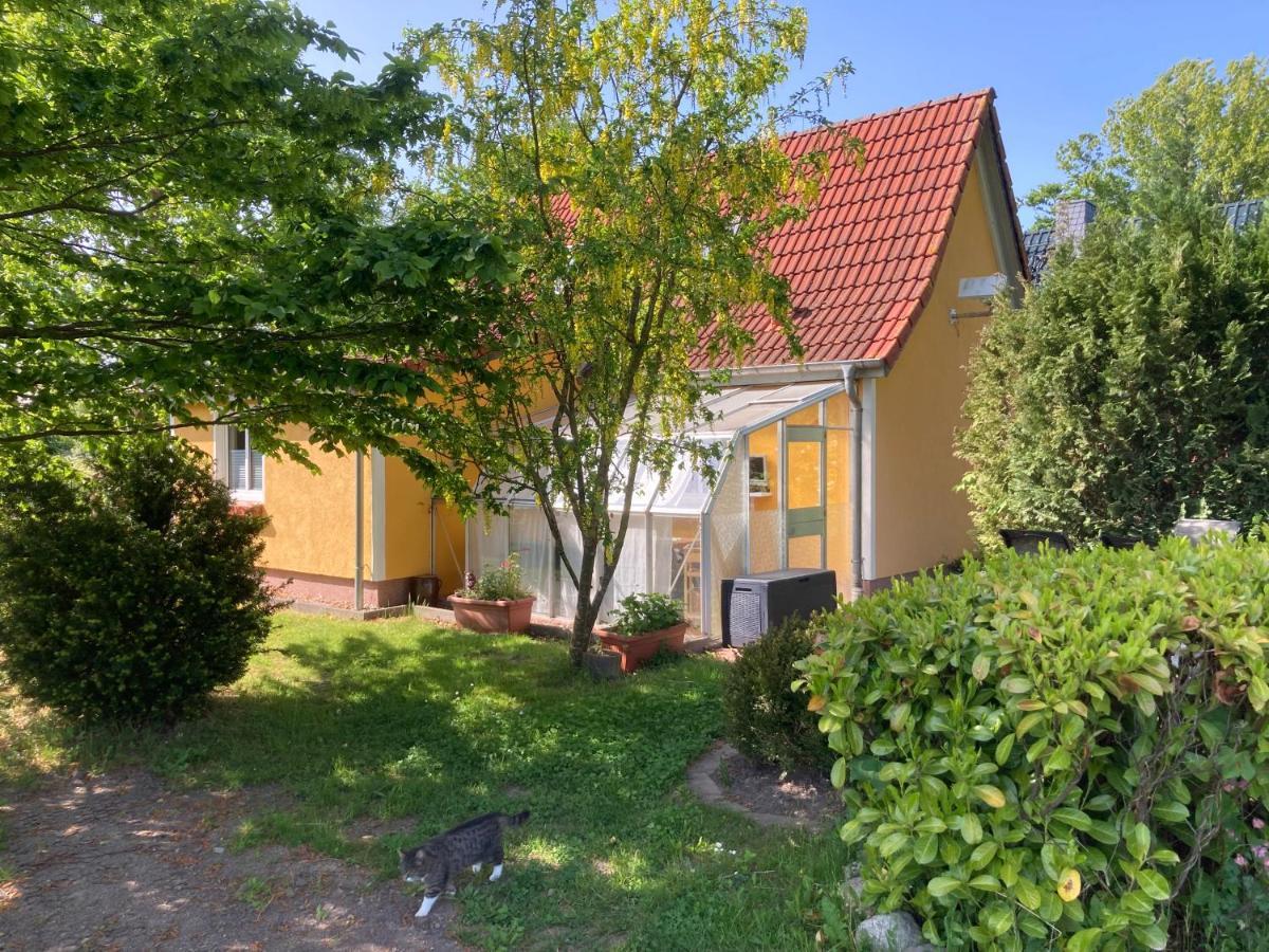 Ferienhaus -Villa Huehnerstall- Hessenburg Exterior photo